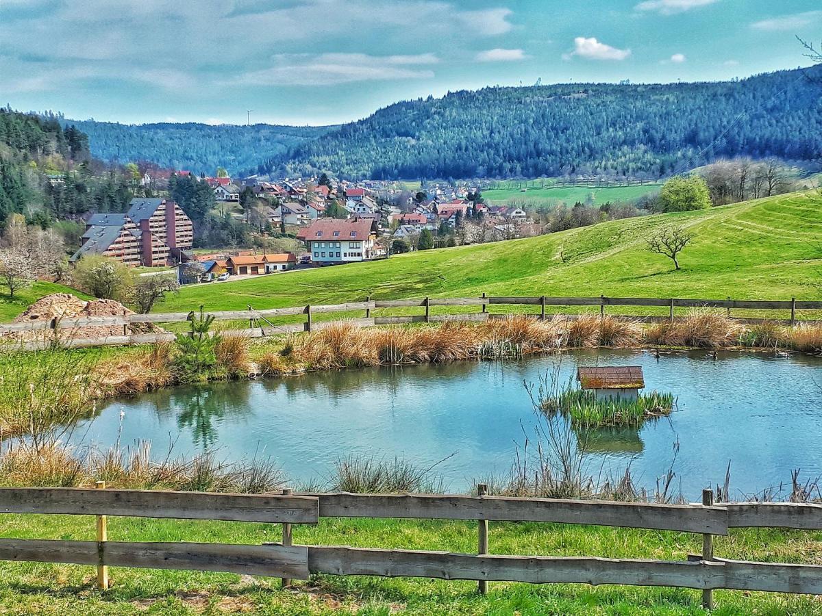 Appartamento Schwarzwald Woelkchen Baiersbronn Esterno foto