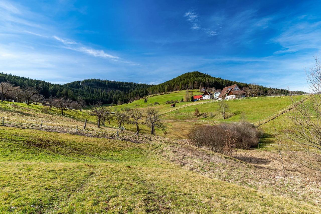 Appartamento Schwarzwald Woelkchen Baiersbronn Esterno foto